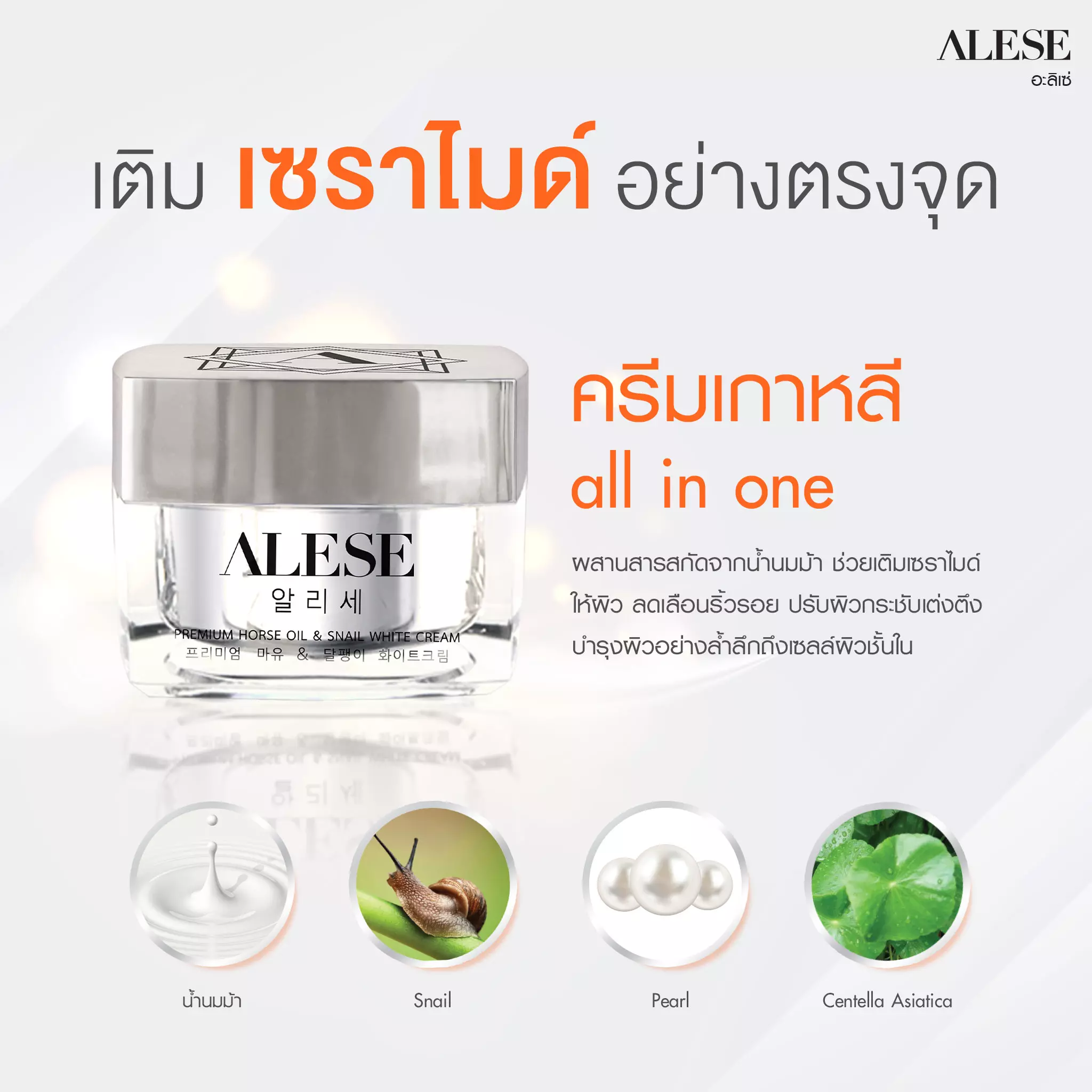 ครีมลดริ้วรอย ครีมทาผิวขาว ครีมลดเลือนริ้วรอย ครีมเกาหลี ครีมหน้าขาว
