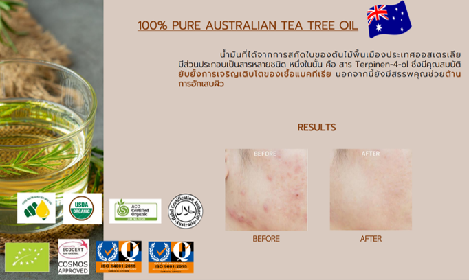 cc cream Acne Guard Complex 100% PURE AUSTRALIAN TEA TREE OIL