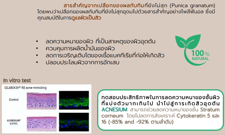 cc cream Acne Guard Complex ACNESIUM