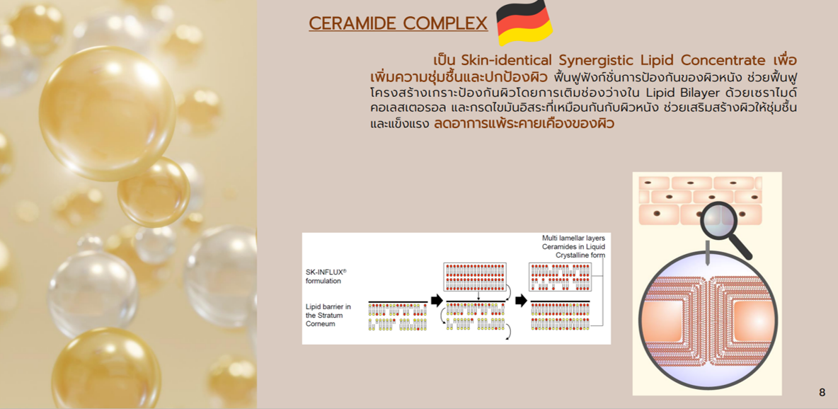 cc cream PRODUCT INNOVATION Ceramide complex